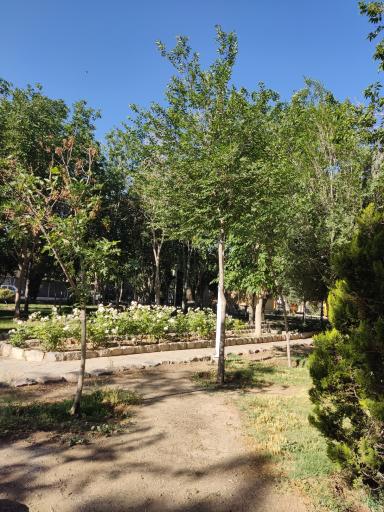 عکس 10 — بوستان گل محمدی