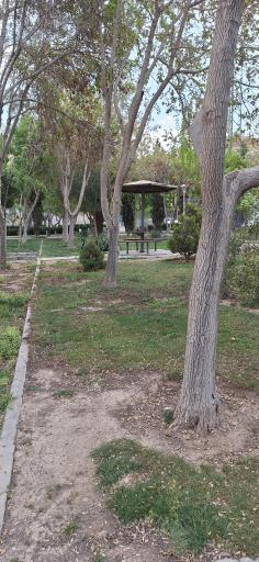 عکس 4 — بوستان گل محمدی