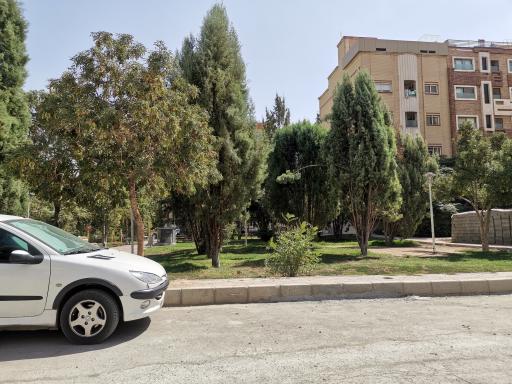 عکس 6 — بوستان گل محمدی