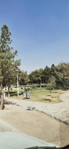 عکس 7 — بوستان گل محمدی