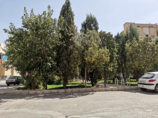 عکس 8 — بوستان گل محمدی