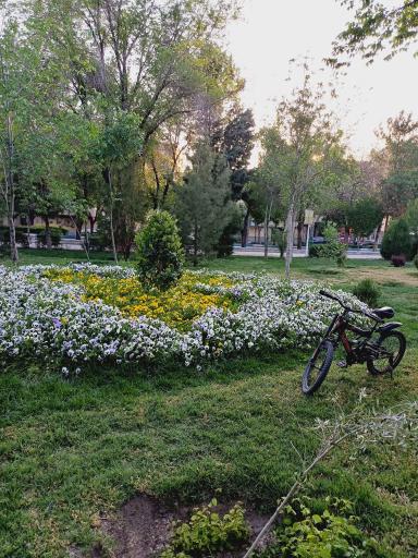 عکس 4 — بوستان ملت