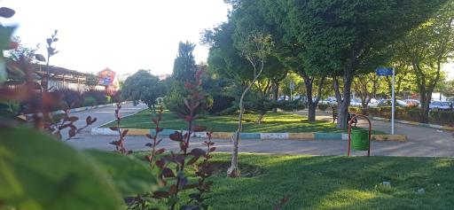 عکس 3 — پارک ملت