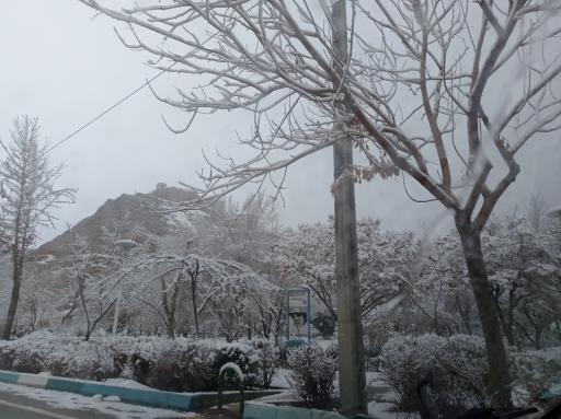 عکس 7 — بوستان مهر