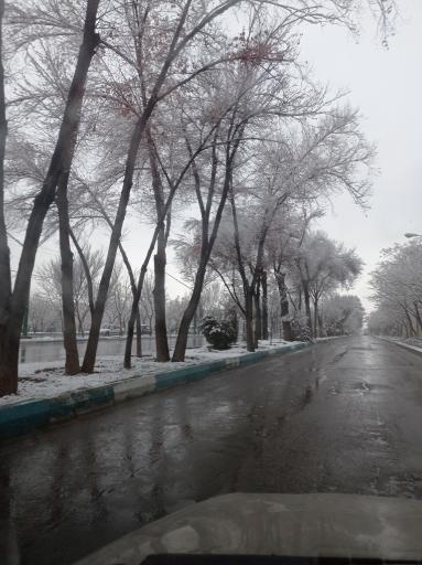 عکس 8 — بوستان مهر