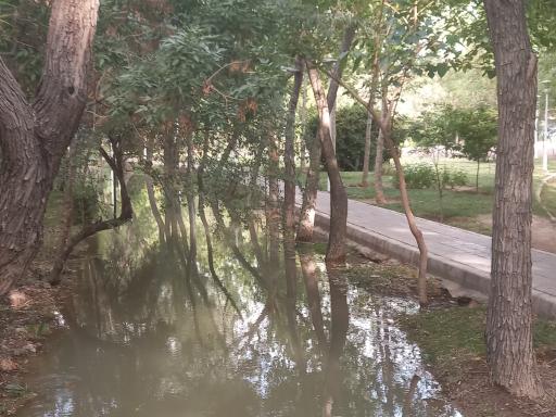 پارک بین النهرین