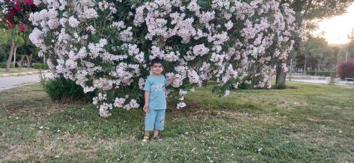 عکس 4 — بوستان نماز