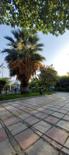 عکس 2 — بوستان اقاقیا
