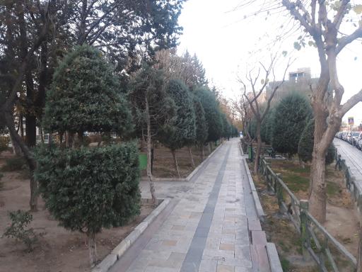 عکس 5 — پارک پرستو (گل نبی)
