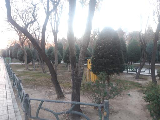 عکس 6 — پارک پرستو (گل نبی)