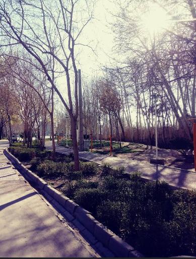 عکس 8 — بوستان میرزاطاهر