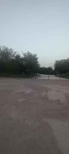 عکس 3 — پارک ولیعصر