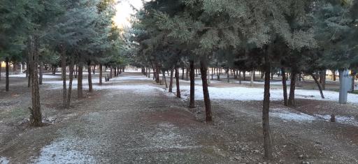 عکس 1 — بوستان بهاران