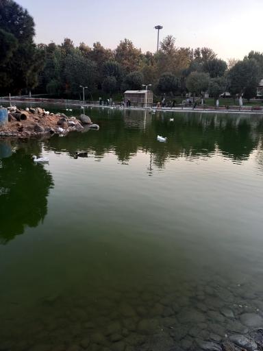 عکس 3 — بوستان بعثت