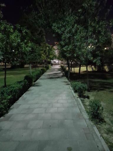 عکس 2 — بوستان خلیج فارس مشیریه