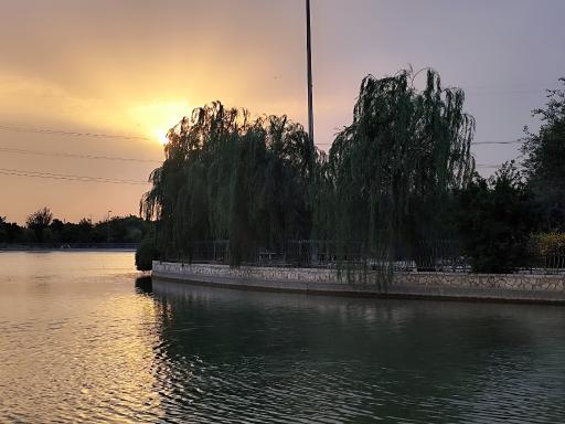 عکس 4 — بوستان خلیج فارس مشیریه