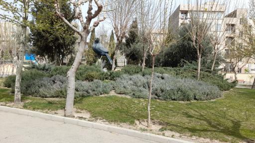 عکس 8 — بوستان اروند
