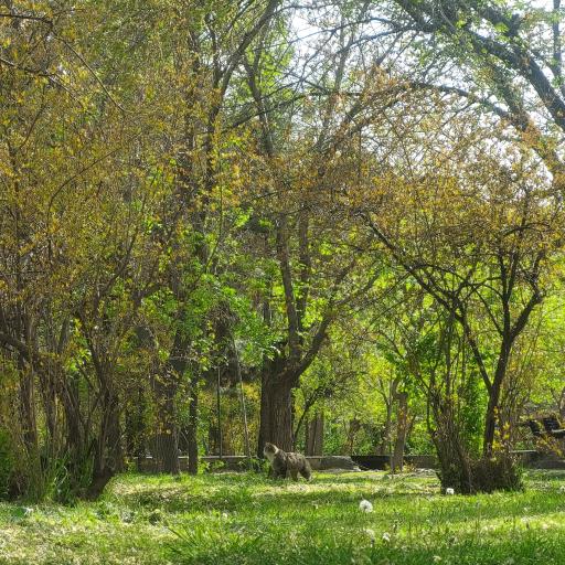 عکس 2 — بوستان سهند