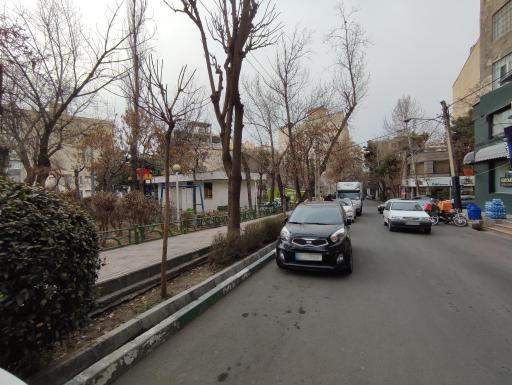 عکس 3 — بوستان 22 بهمن