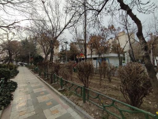 عکس 4 — بوستان 22 بهمن