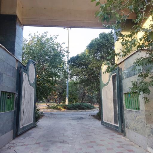 عکس 8 — پارک جنگلی افرا