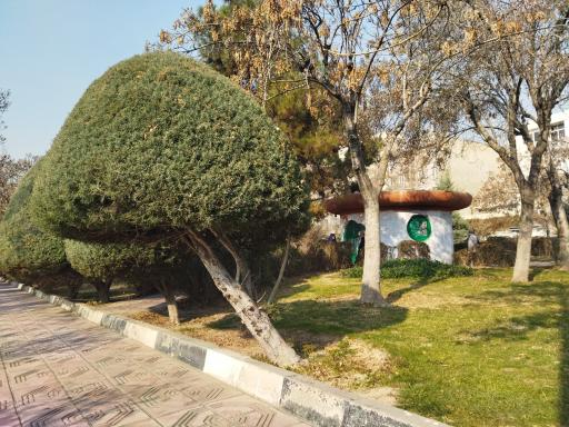 دفتر فضای سبز و بوستان رسالت