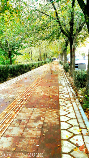 عکس 2 — بوستان شریعتی