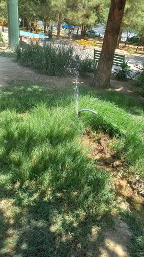 عکس 7 — بوستان گلستان