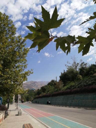 عکس 4 — بوستان نهج البلاغه فاز دو