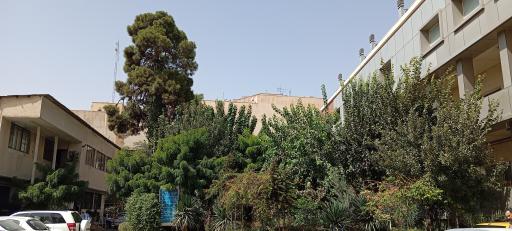 عکس 7 — بیمارستان طرفه