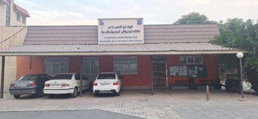 کلینیک فوق تخصصی ام اس بیمارستان سینا