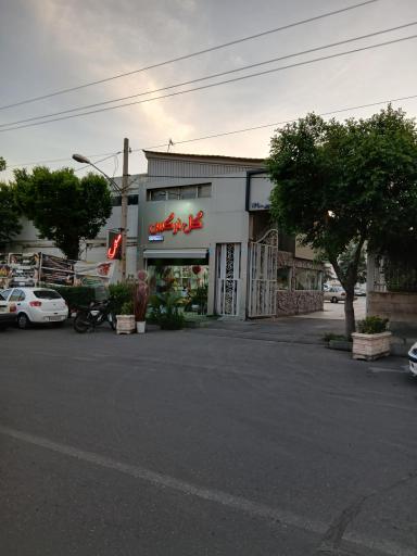 عکس 2 — گل نرگس