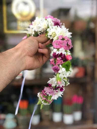 عکس 8 — گل نرگس