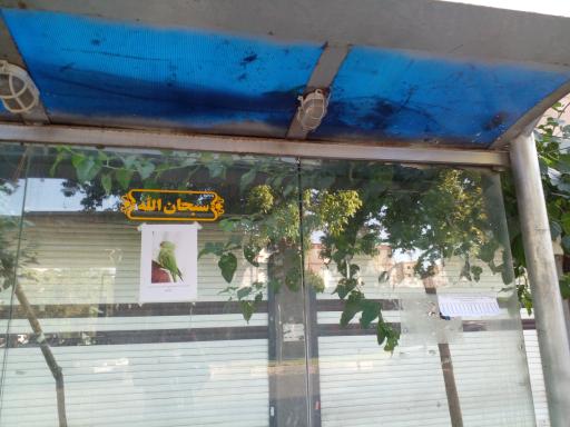 بیمارستان