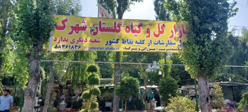 عکس 2 — بازار گل و گیاه گلستان شهرک