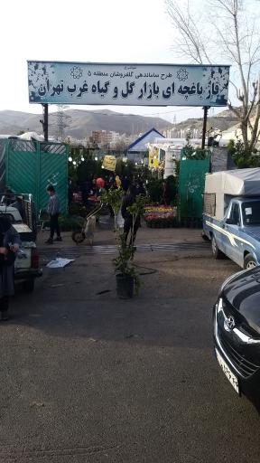 عکس 2 — بازار گل و گیاه غرب تهران فاز باغچه ای