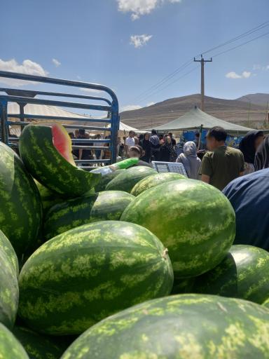 عکس 2 — پنجشنبه بازار فولاد شهر