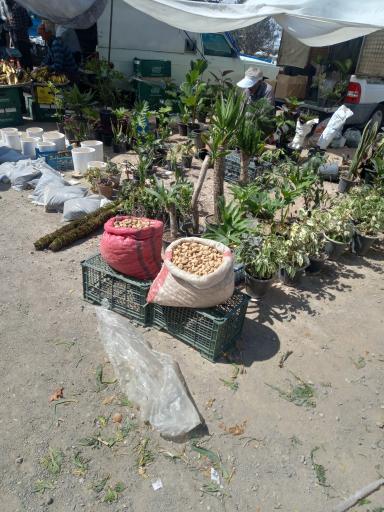 عکس 5 — پنجشنبه بازار فولاد شهر