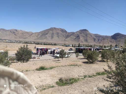 عکس 9 — پنجشنبه بازار فولاد شهر