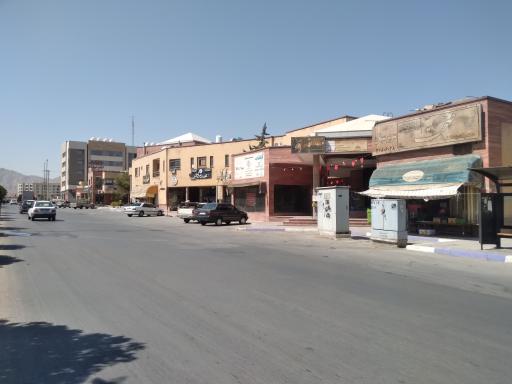 بازار سرو نقره ای