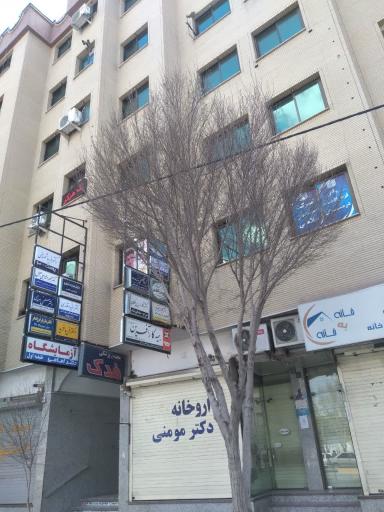 مجتمع فدک