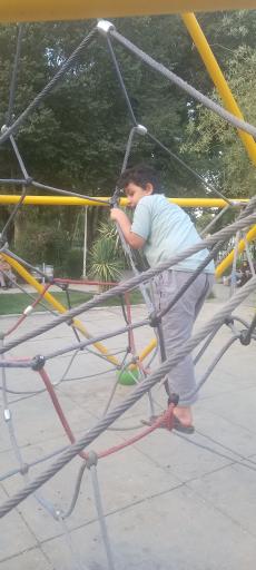 بازی طنابی مولکولی