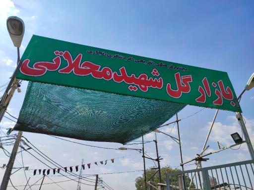 عکس 9 — بازار گل شهید محلاتی