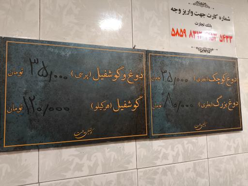 عکس 7 — گوشفیل عدالت