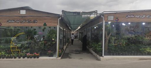 عکس 3 — بازار گل شادمان