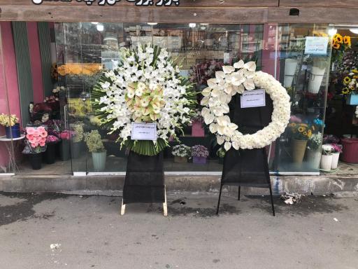 عکس 7 — بازار گل شادمان