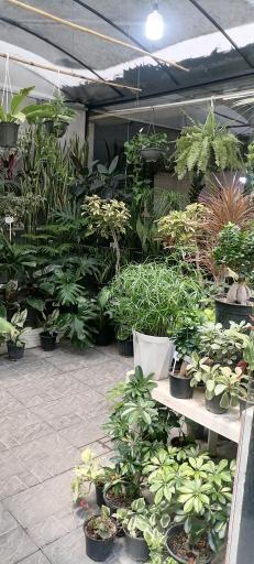 عکس 2 — بازار گل اکباتان