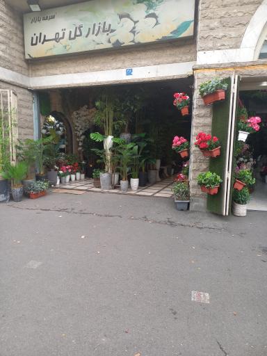 عکس 3 — بازار گل تهران