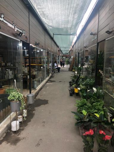 بازار گل و گیاه و ملزومات شادمان