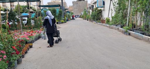 عکس 3 — بازار گل و گیاه و ملزومات شادمان